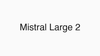 Mistral Large 2