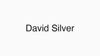 David Silver