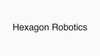 Hexagon Robotics