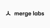 Merge Labs