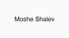 Moshe Shalev