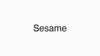 Sesame