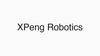 XPeng Robotics